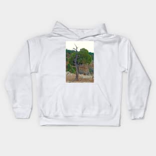 Grand Canyon Tree Study 4 Kids Hoodie